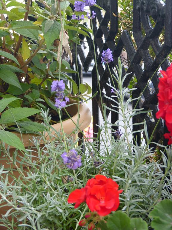 The Iverna Eastbourne Bagian luar foto