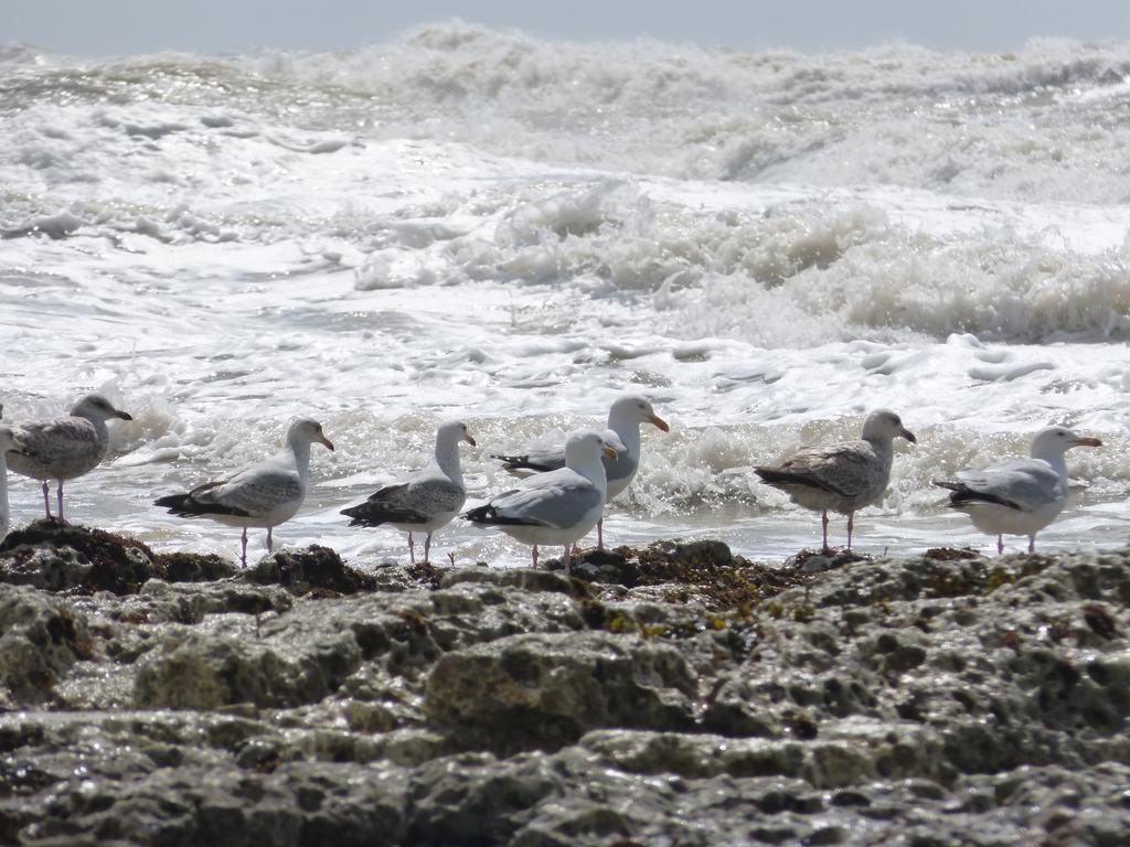 The Iverna Eastbourne Bagian luar foto