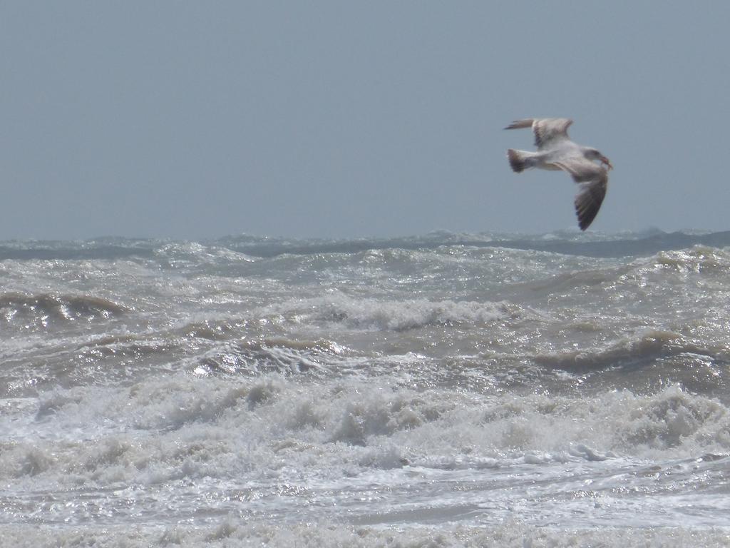 The Iverna Eastbourne Bagian luar foto